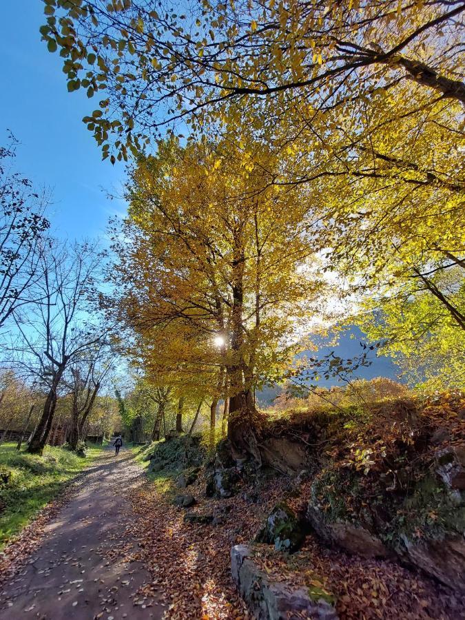 Villaggio Turistico Il Lago Dorato Carlazzo Dış mekan fotoğraf