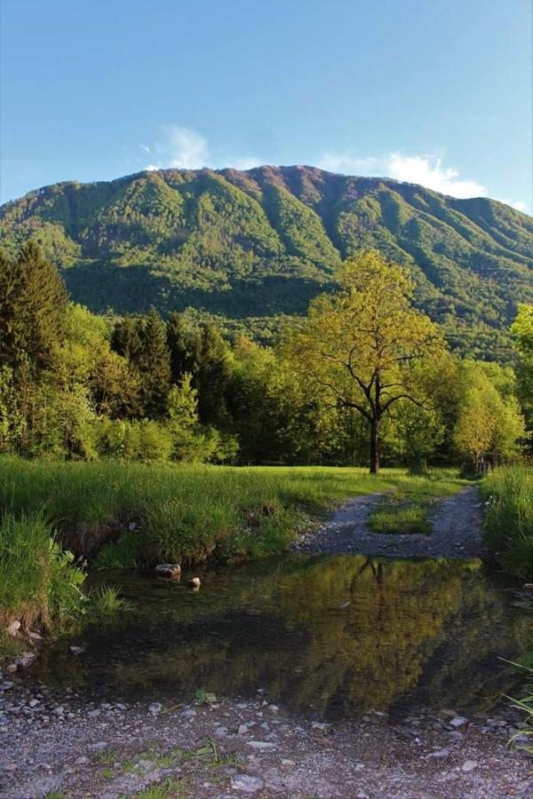 Villaggio Turistico Il Lago Dorato Carlazzo Dış mekan fotoğraf